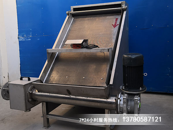 斜筛式水蜜桃无码视频在线观看免费